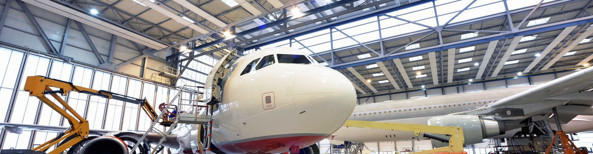 NG电子游戏集团（LSI）